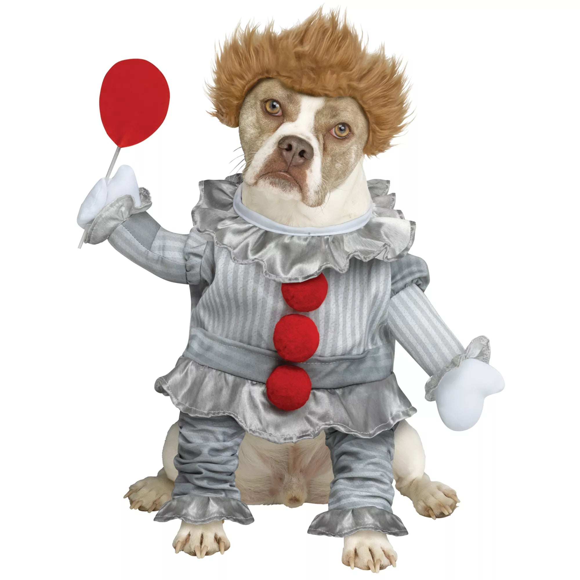 Pennywise Pet Costume - It