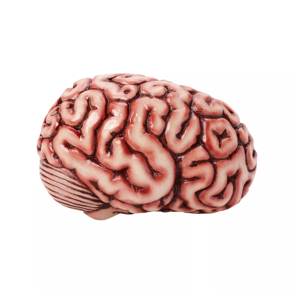 Brain Prop