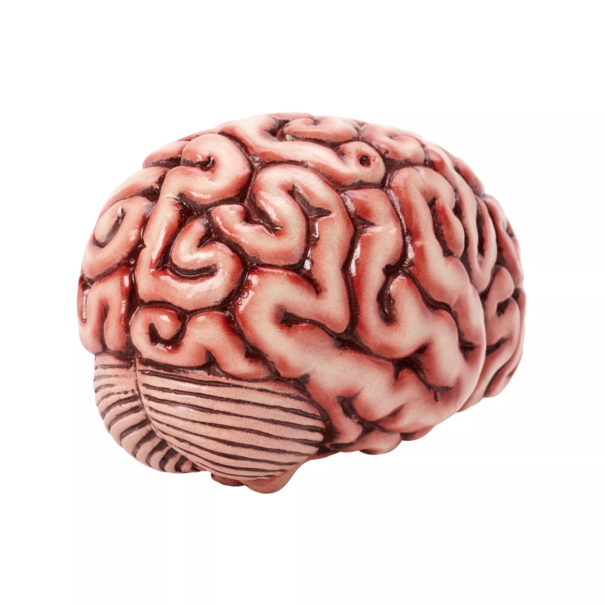Brain Prop