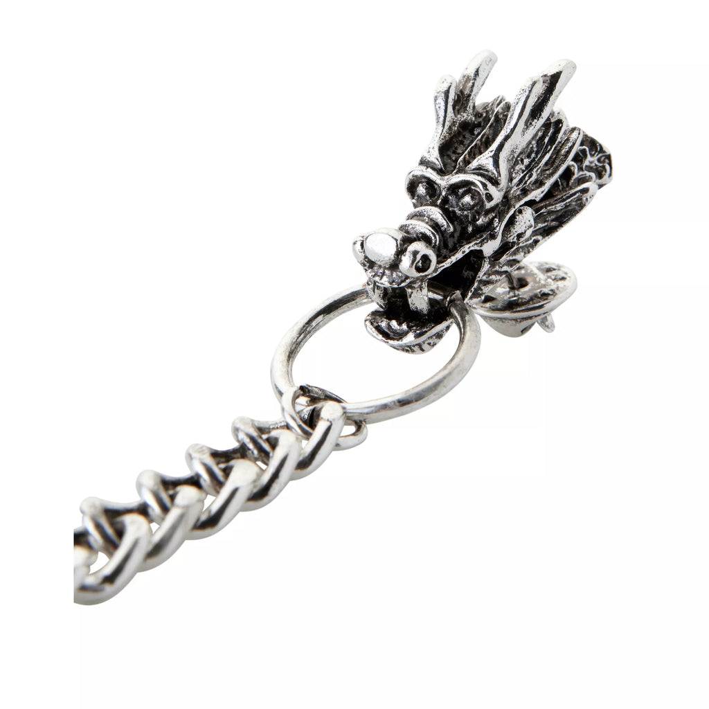 Dragon Cloak Clips