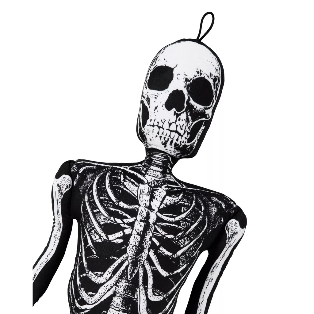 Ossa Bones Comfy Curiosity