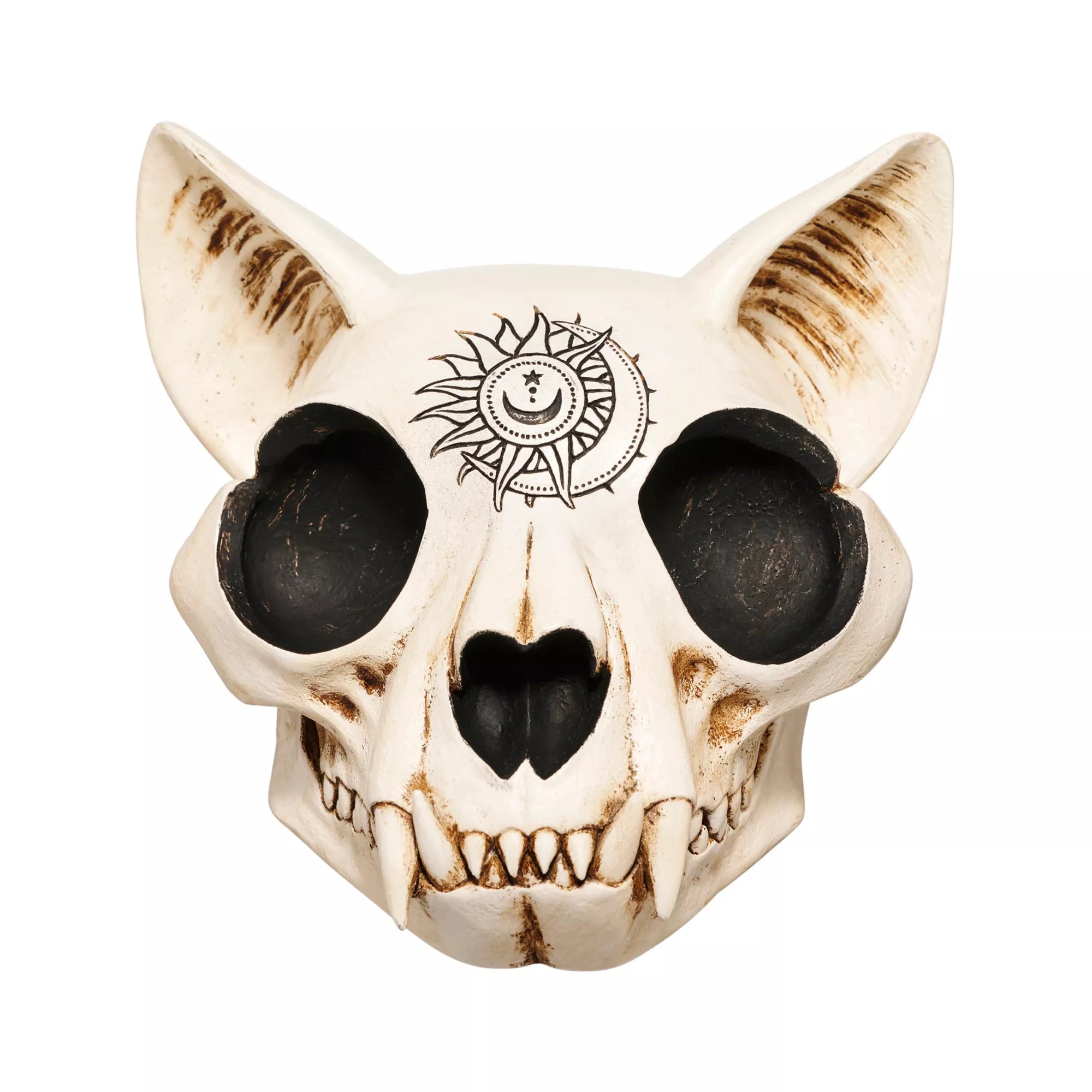 Mystical Arts Cat Skull