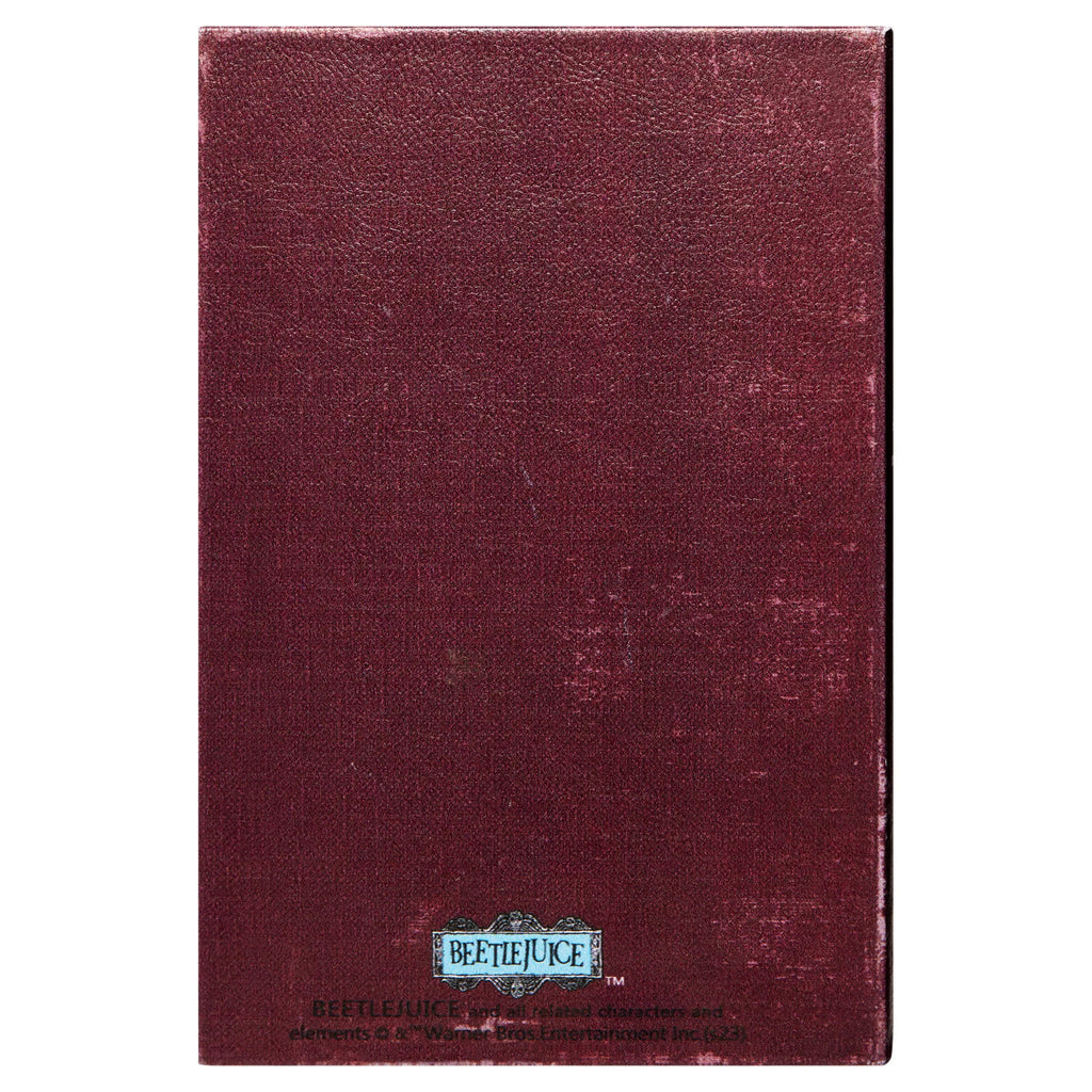 Handbook for The Recently Deceased Trinket Box - Beetlejuice