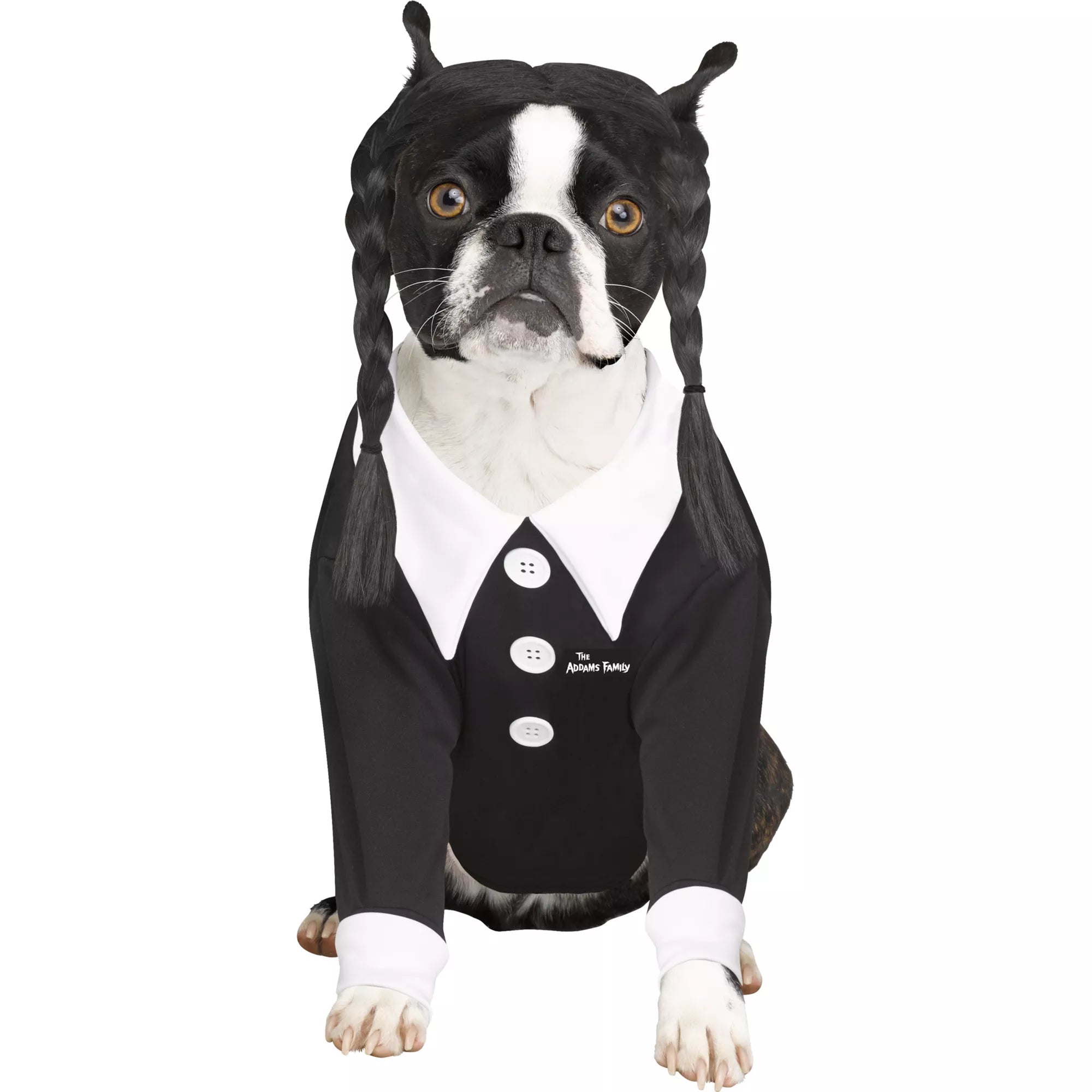 Wednesday Addams Pet Costume - The Addams Family