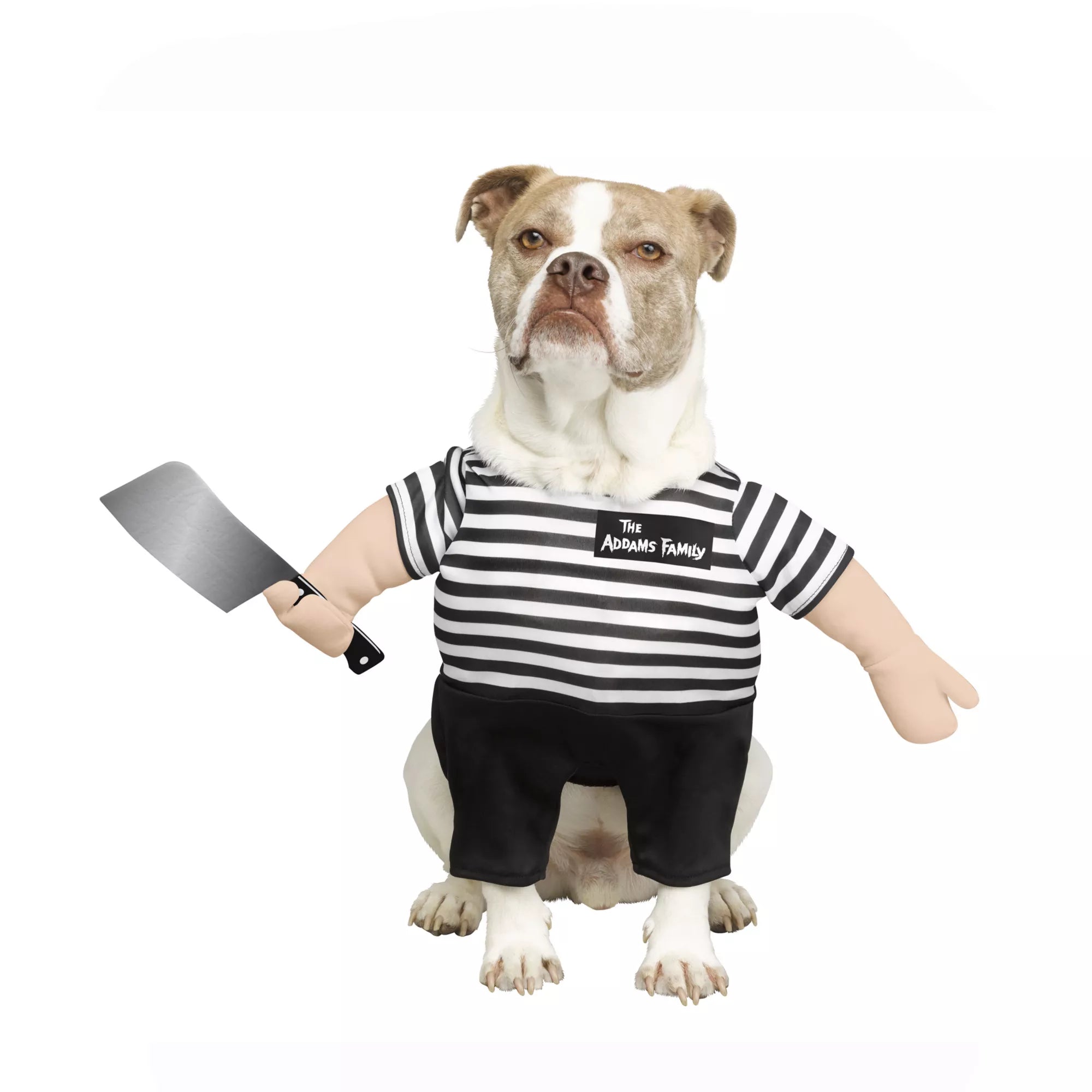 Pugsley Addams Pet Costume - The Addams Family