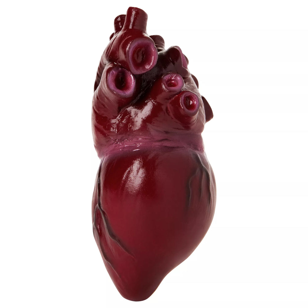 Bloody Heart