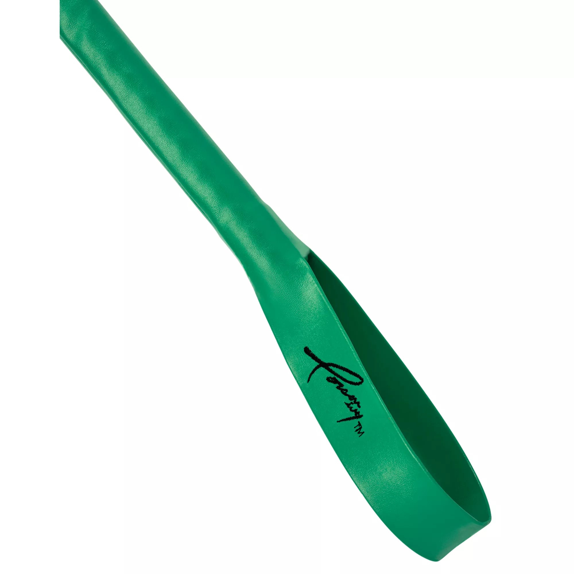 Poison Ivy Whip - DC Villains