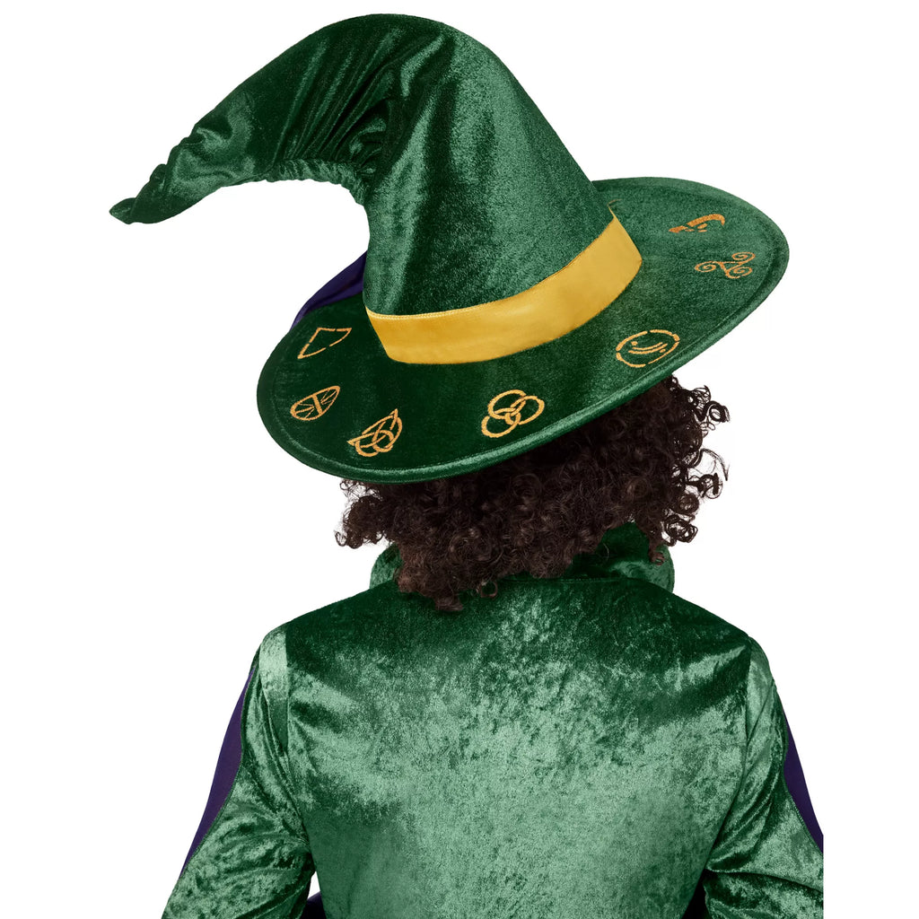 Kids Winifred Sanderson Witch Hat - Hocus Pocus