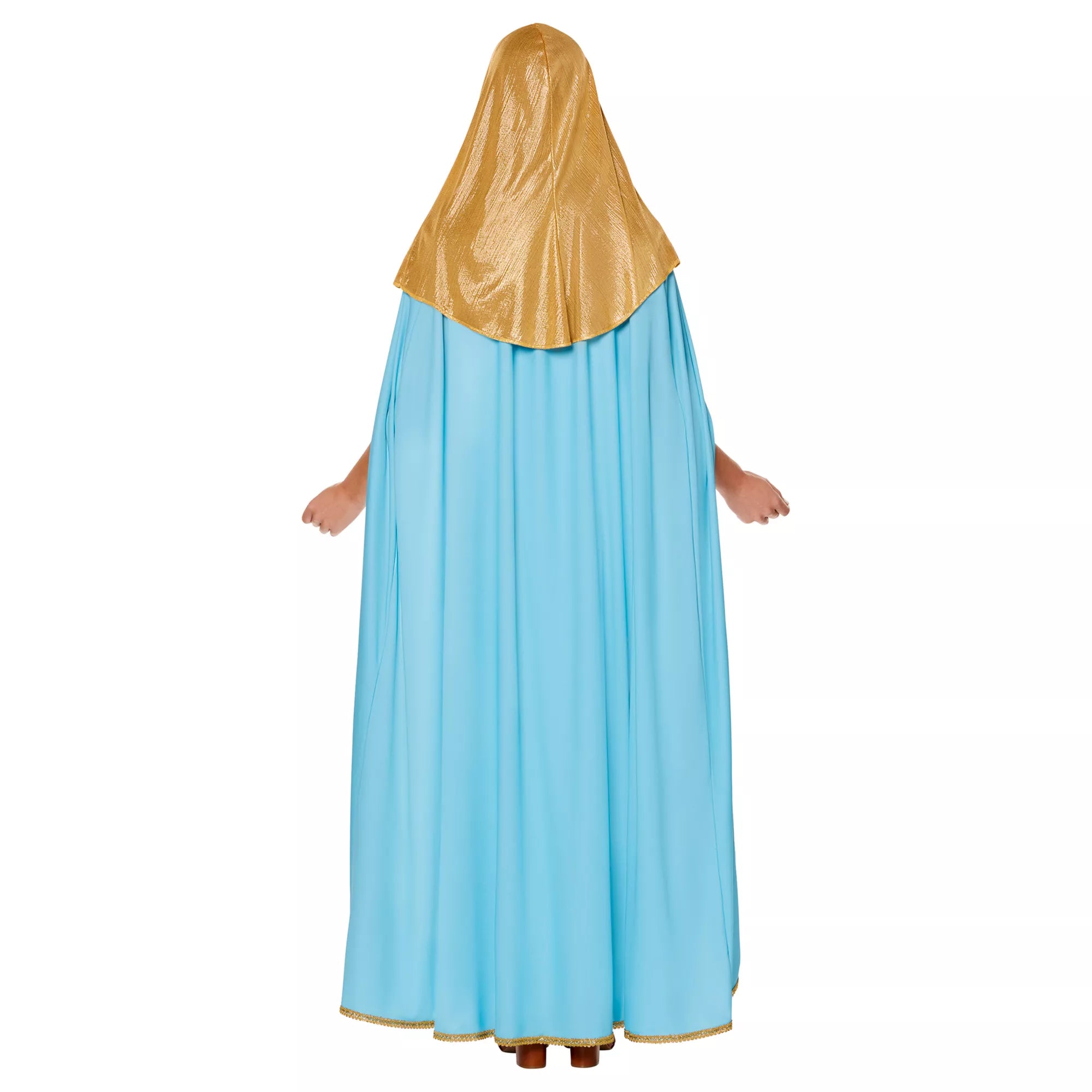 Adult Mary Costume