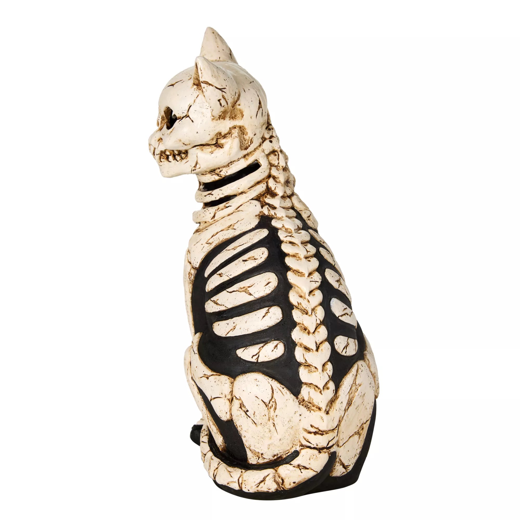 Mystical Arts Light-Up Skeleton Cat