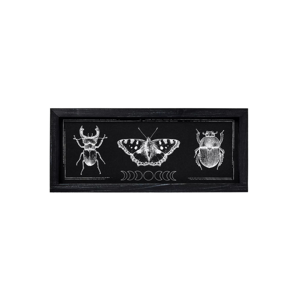 Insect Moon Phase Sign
