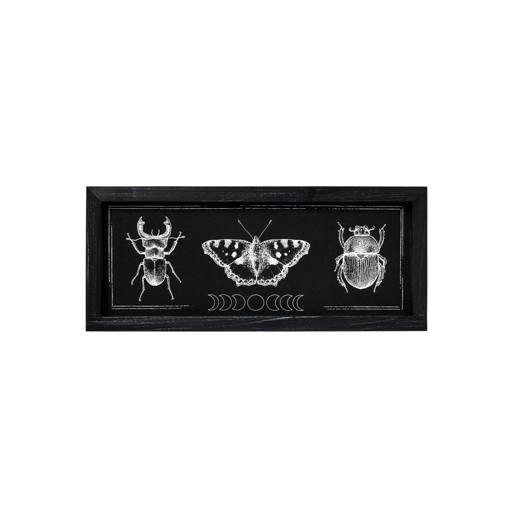 Insect Moon Phase Sign
