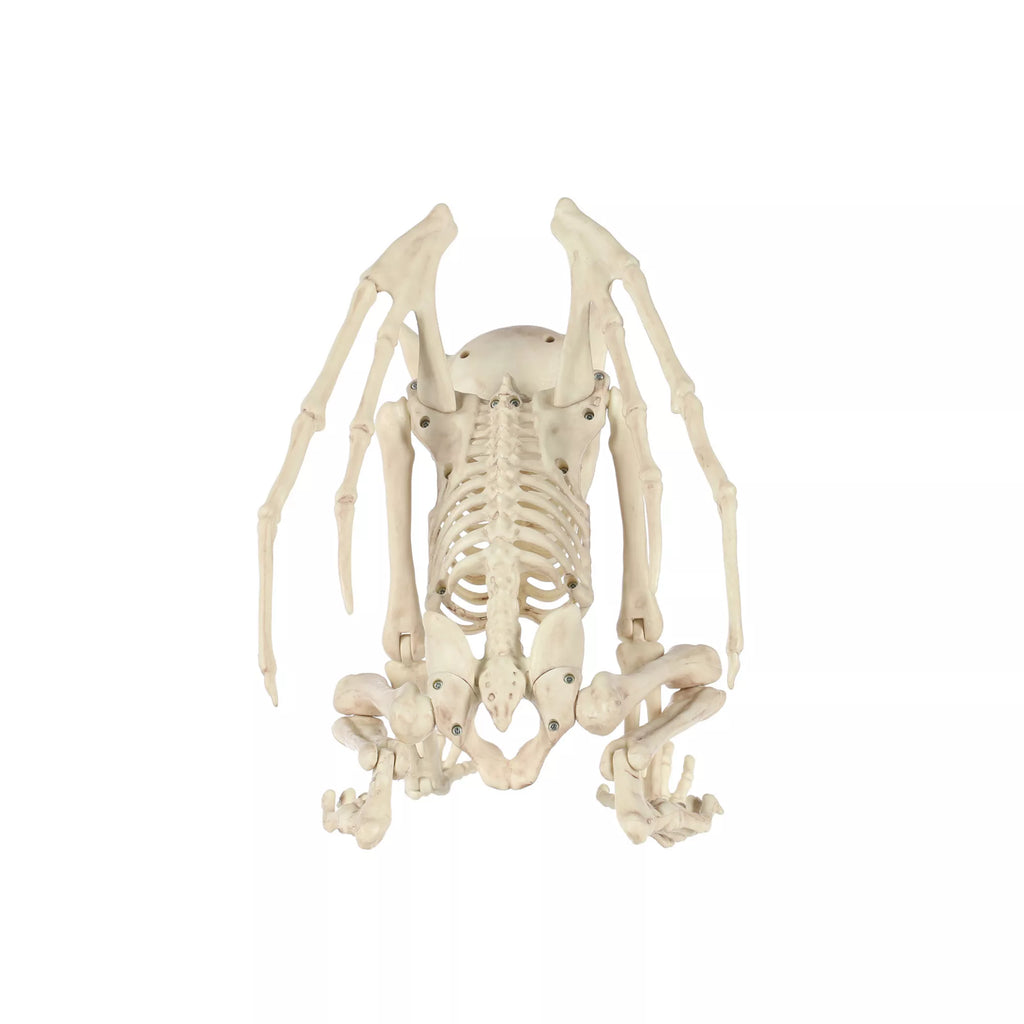 Gargoyle Skeleton
