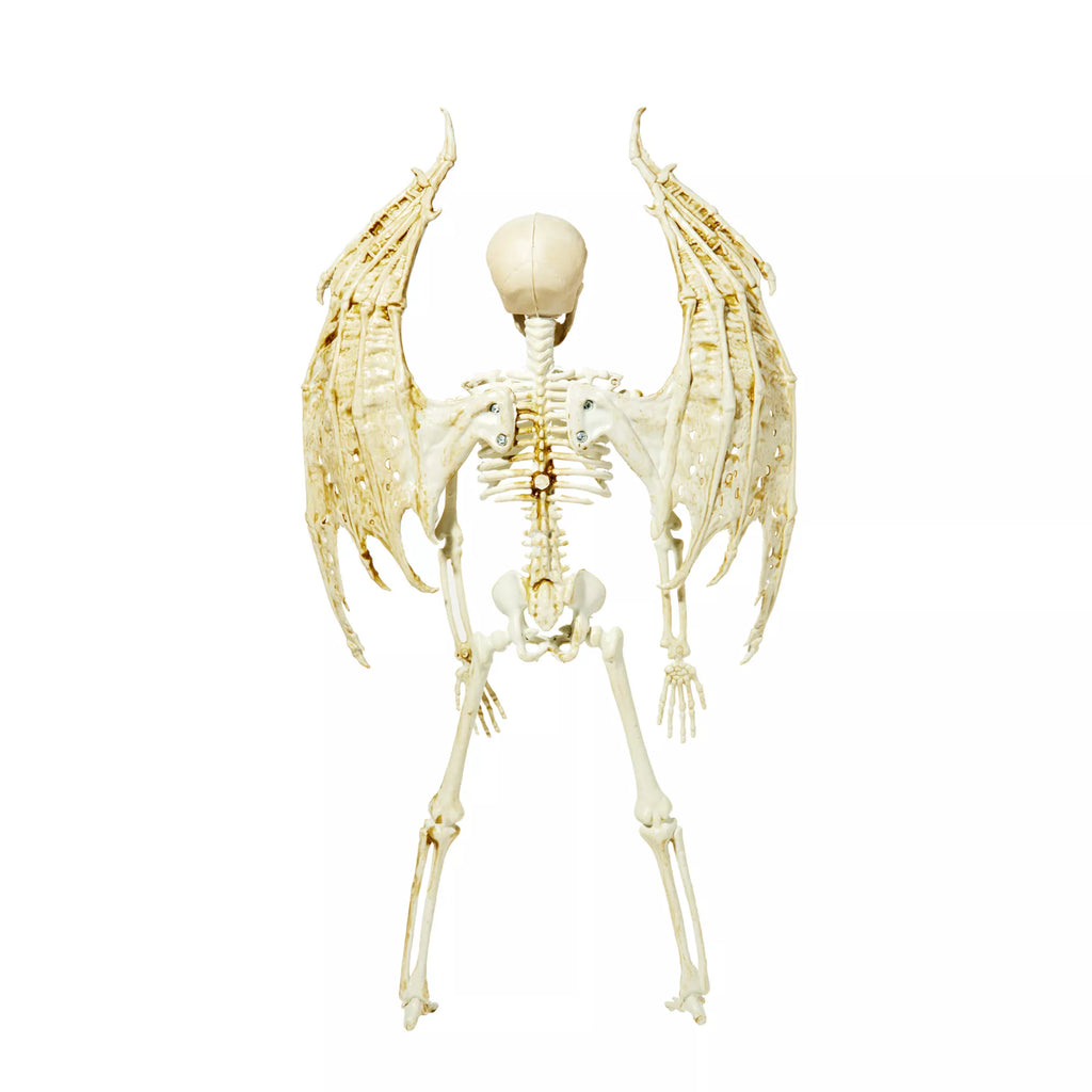 Angel Skeleton Static Prop