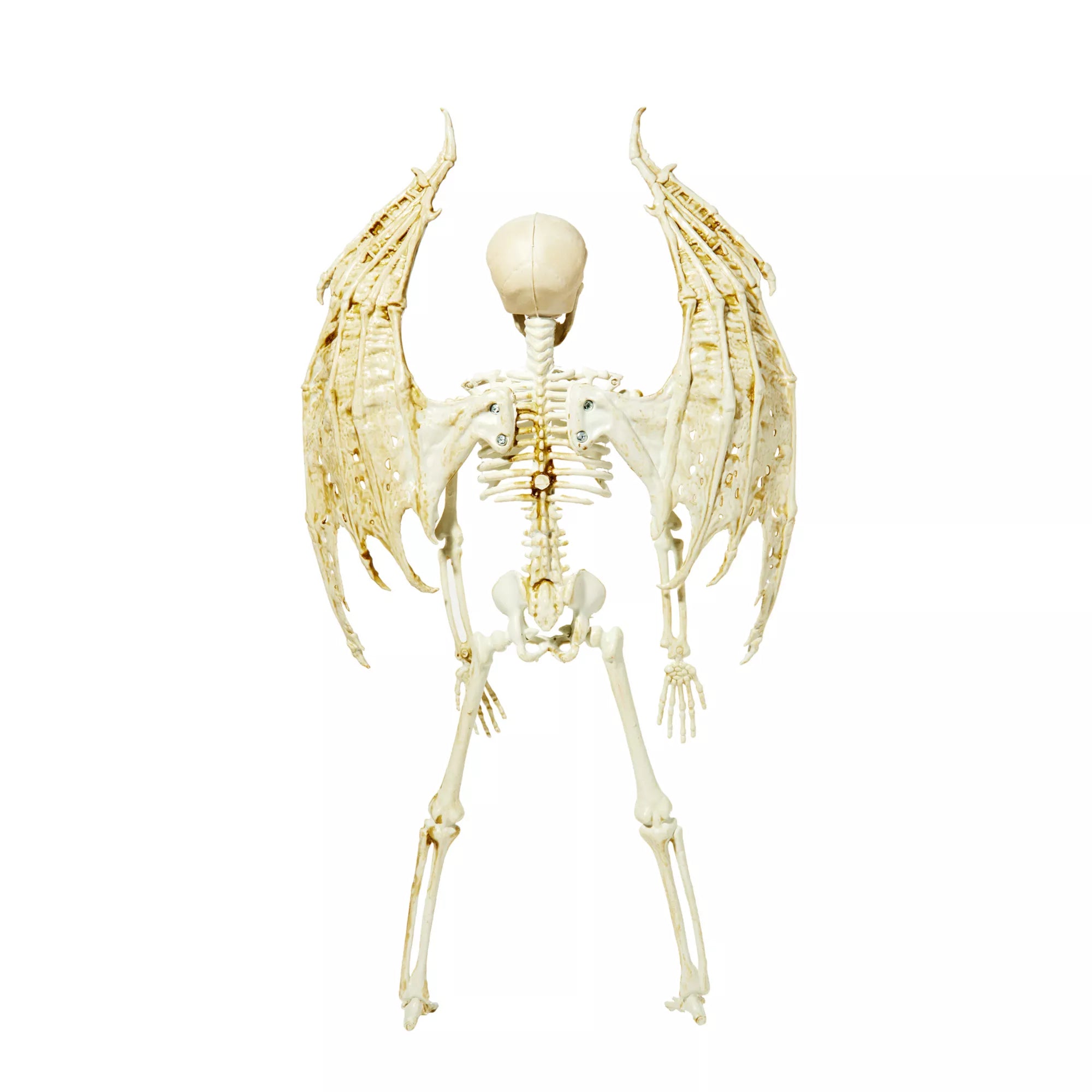 Angel Skeleton Static Prop