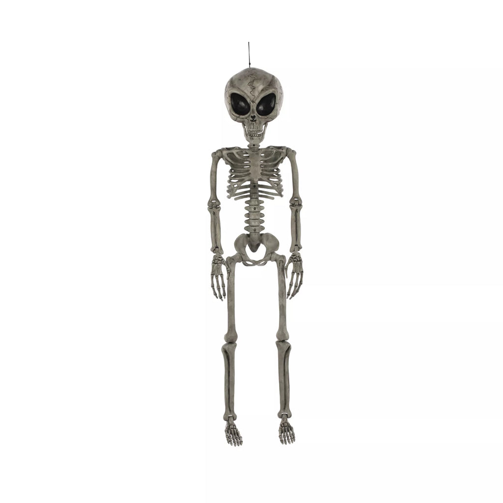 Alien Skeleton - 36 Inches