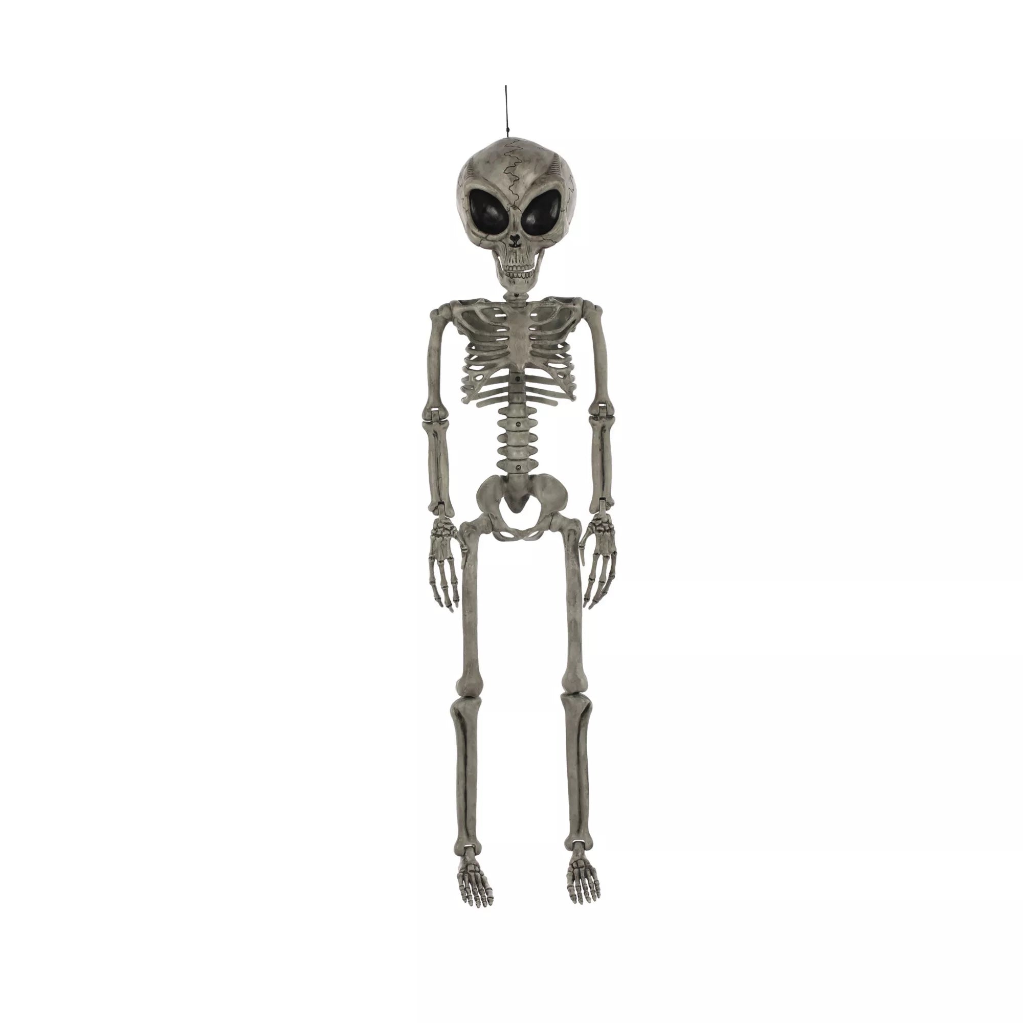 Alien Skeleton - 36 Inches