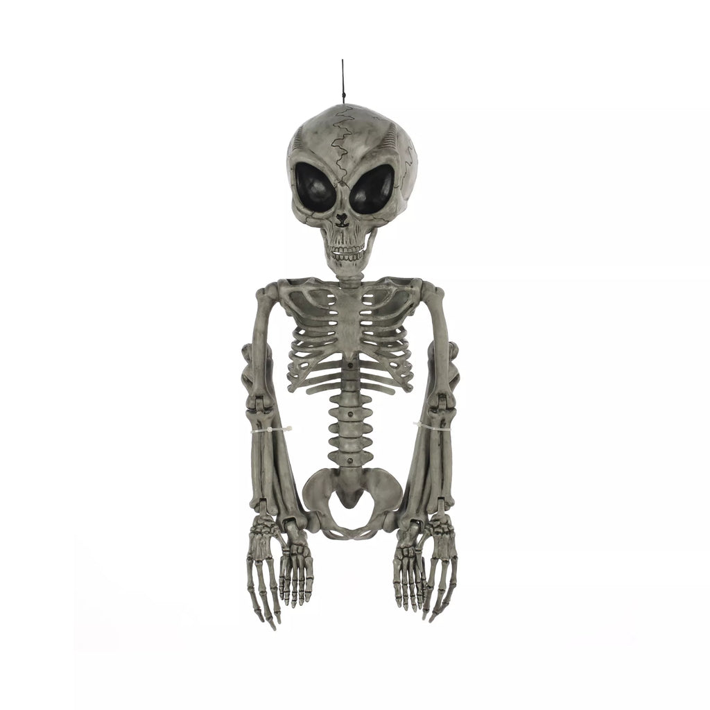 Alien Skeleton - 36 Inches