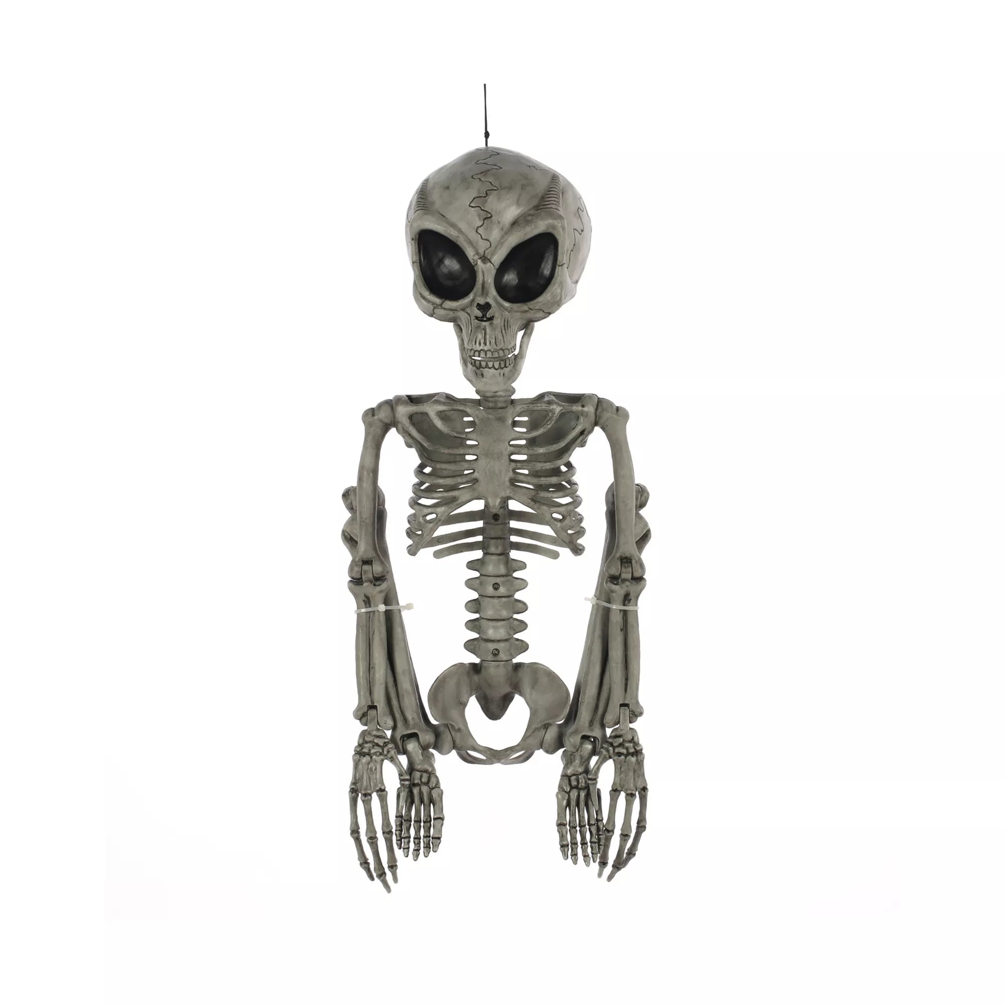 Alien Skeleton - 36 Inches