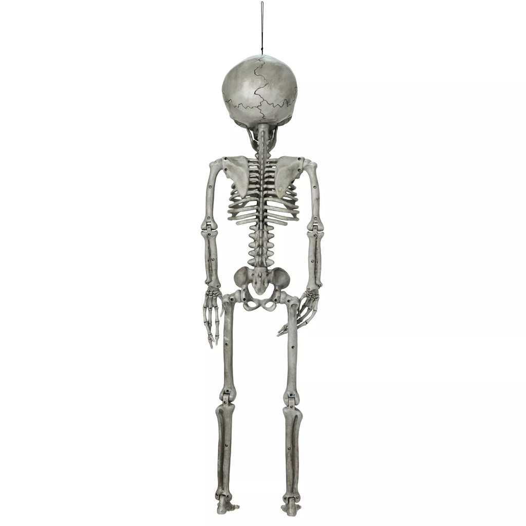 Alien Skeleton - 36 Inches