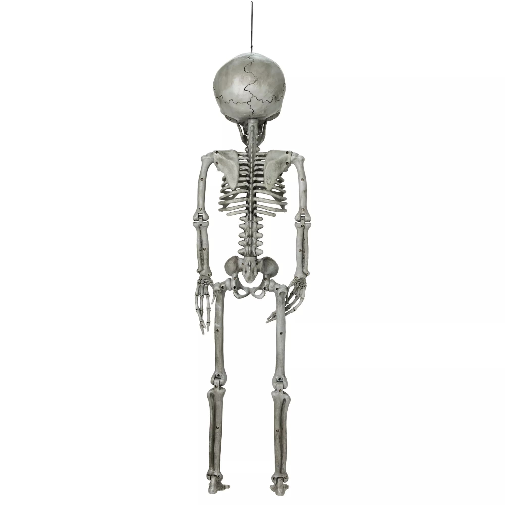 Alien Skeleton - 36 Inches