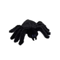 Black Spider Plush