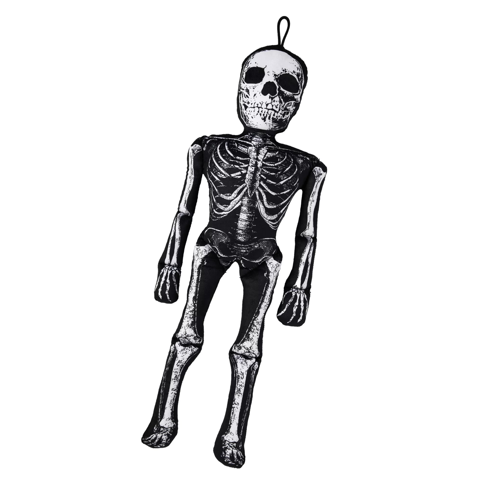Mortimer Skelly Comfy Curiosity