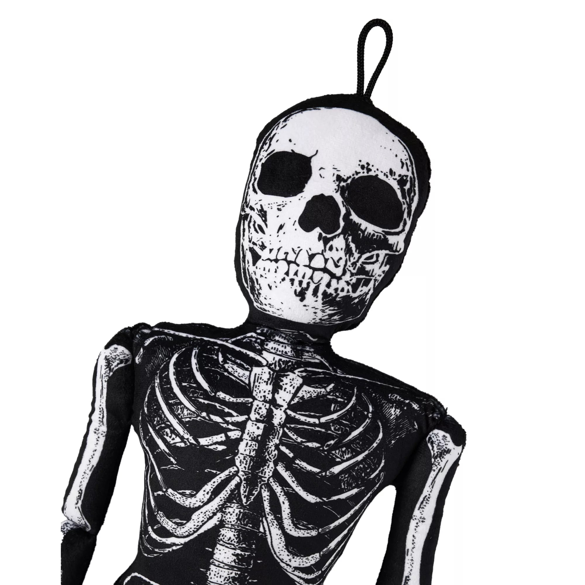 Mortimer Skelly Comfy Curiosity