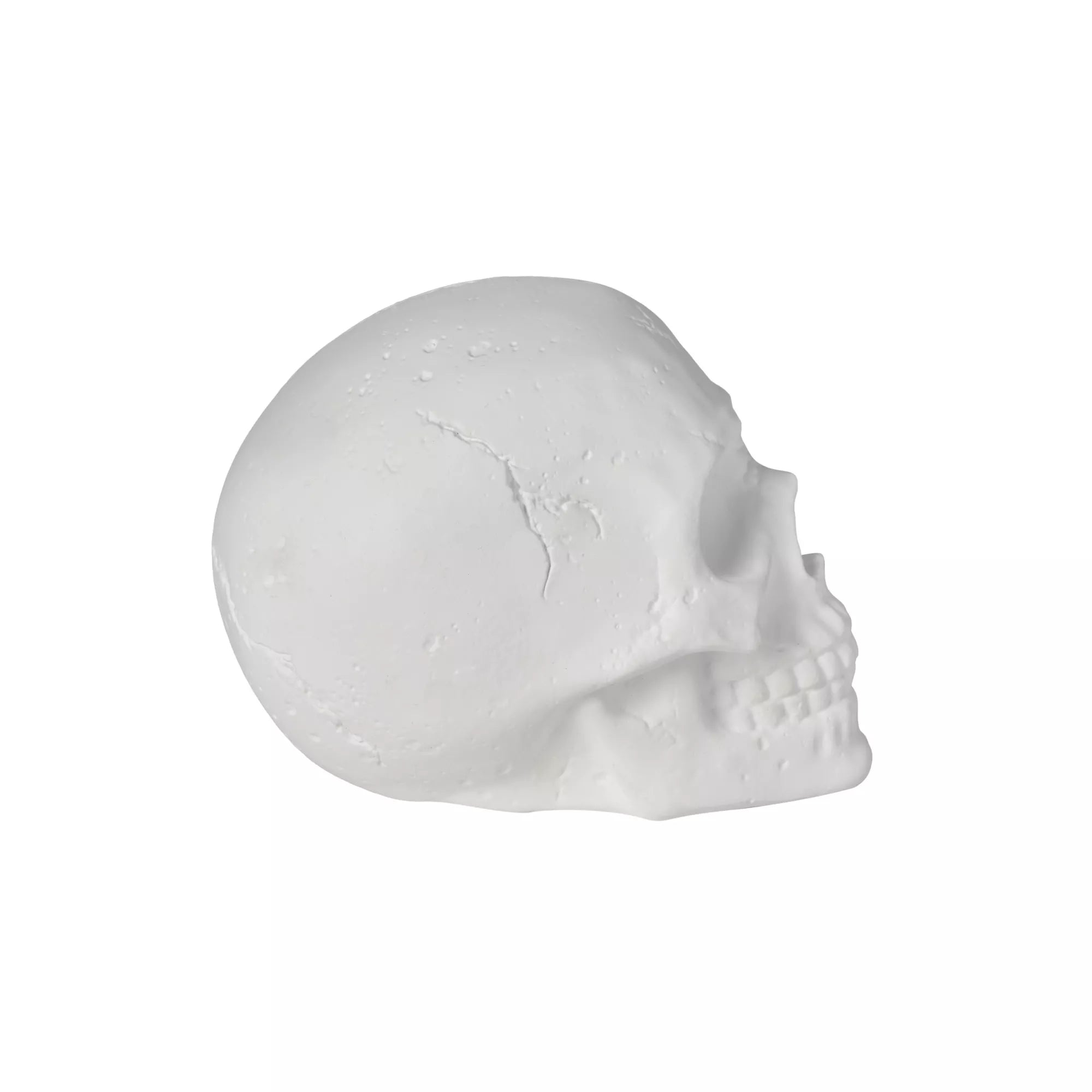 White Skull Tabletop Decoration