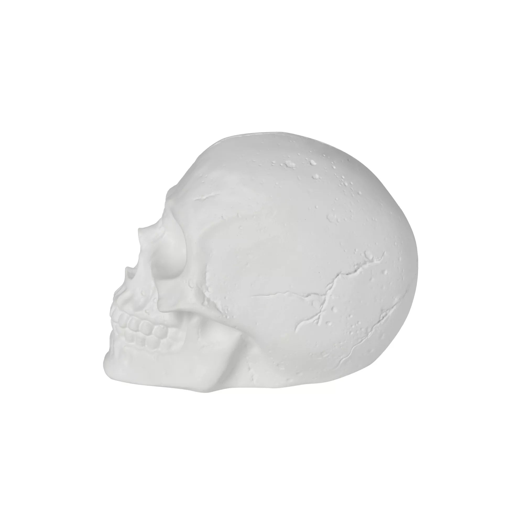 White Skull Tabletop Decoration