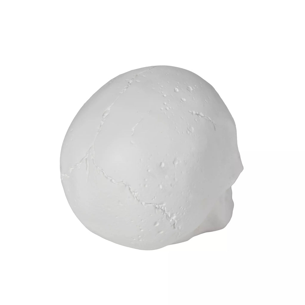 White Skull Tabletop Decoration