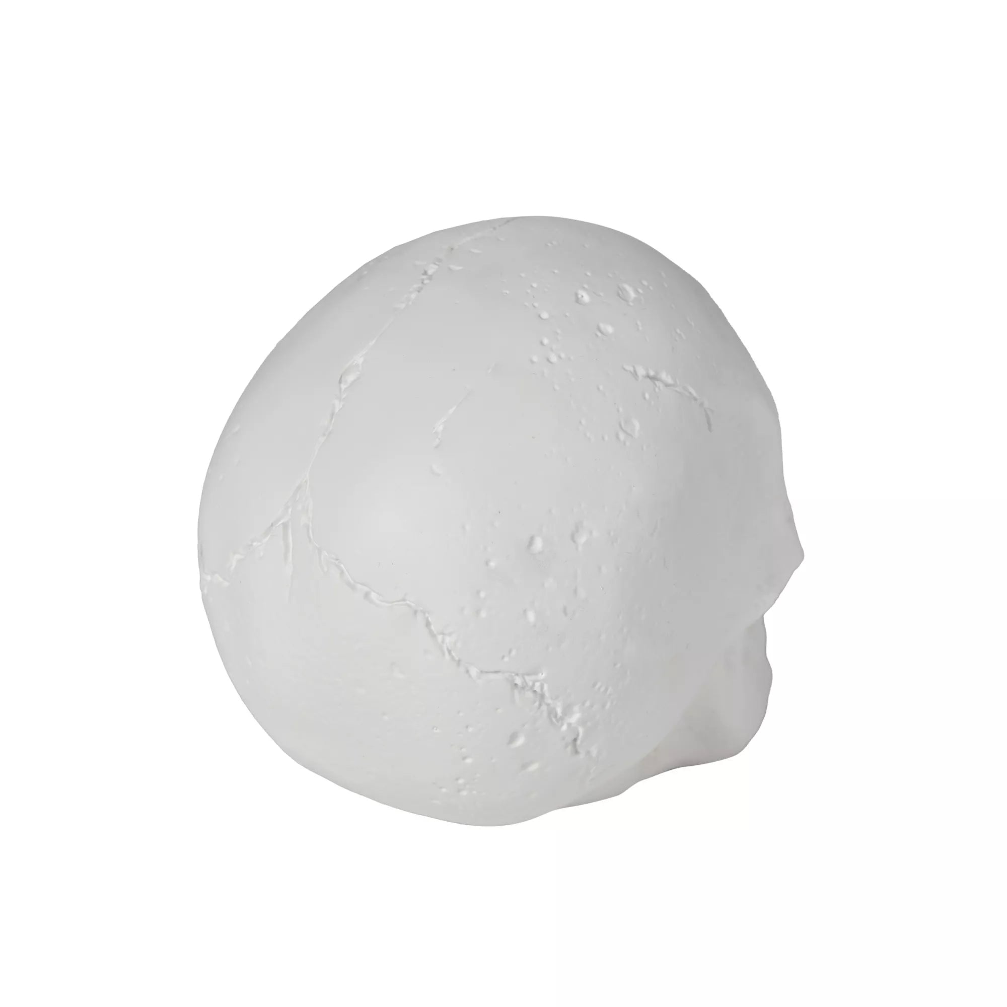 White Skull Tabletop Decoration