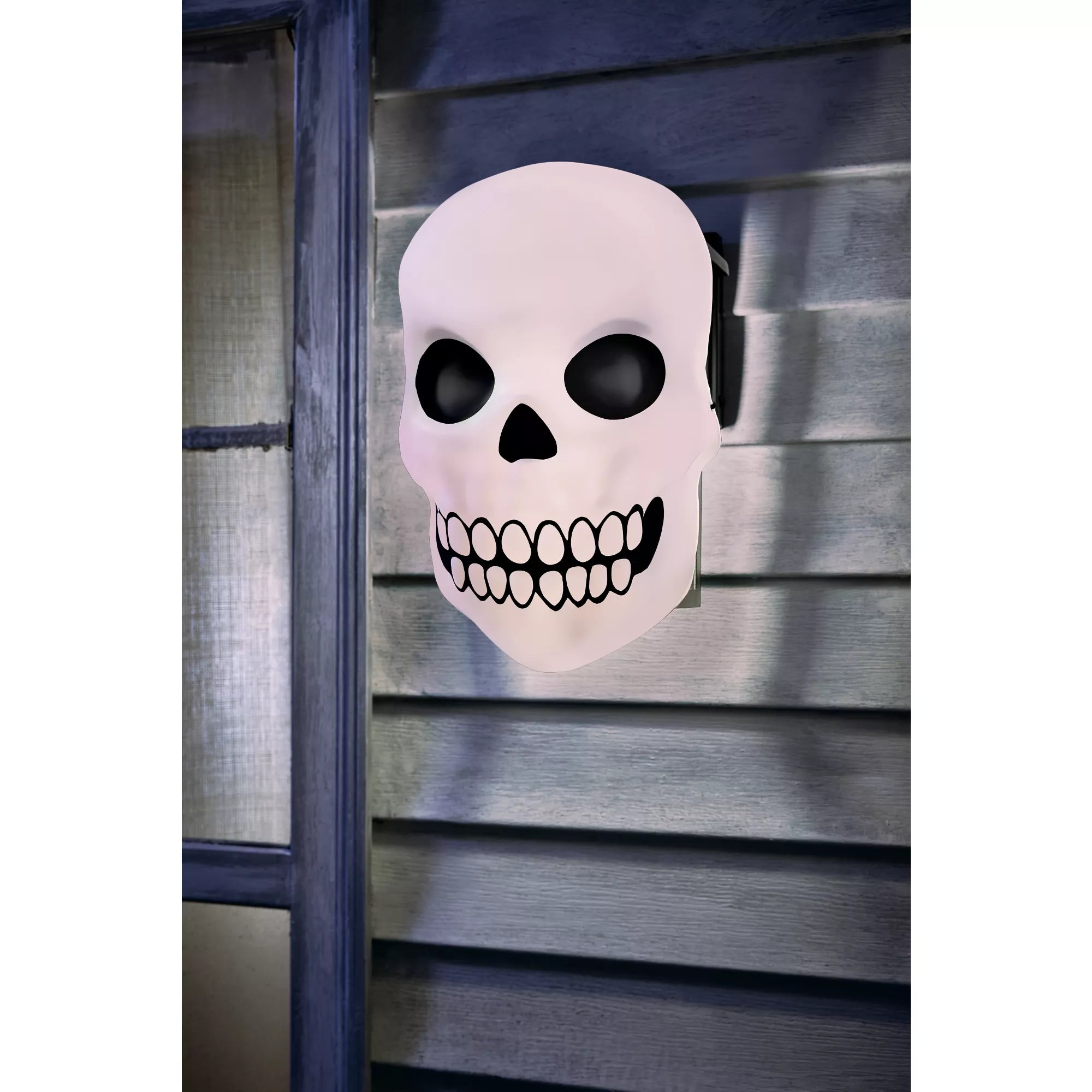 Skull Porch Light Cover