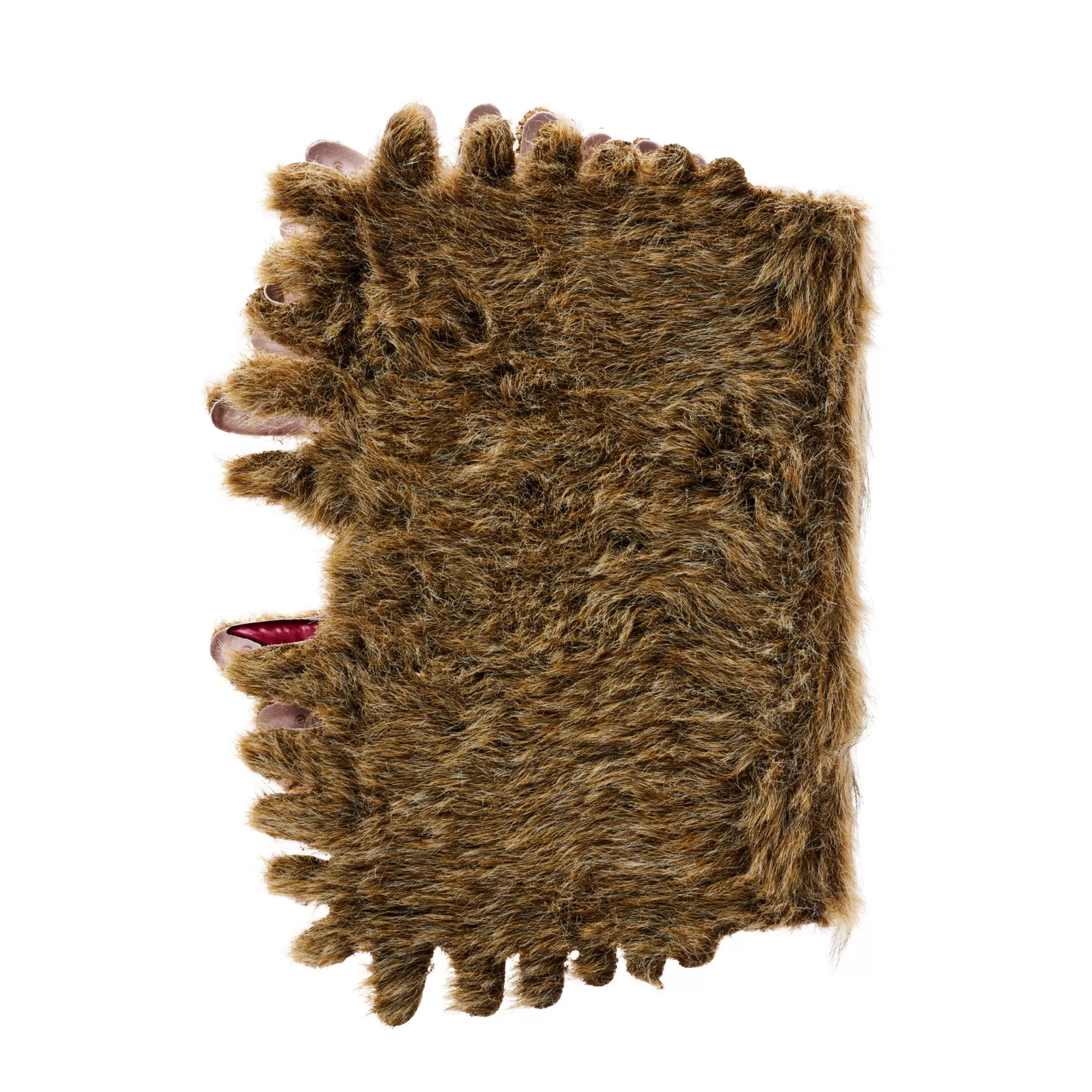 The Monster Book of Monsters Trinket Box - Harry Potter