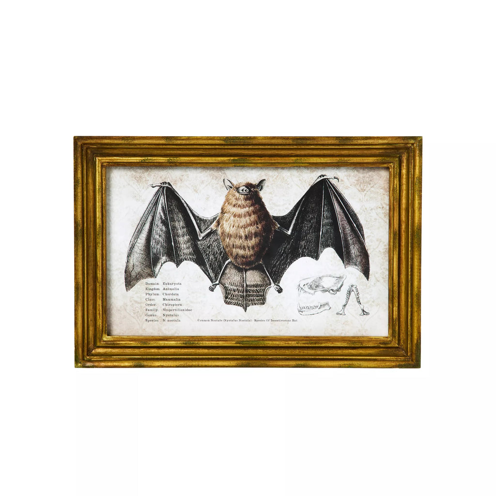 Bat Sign Set - 2 Piece