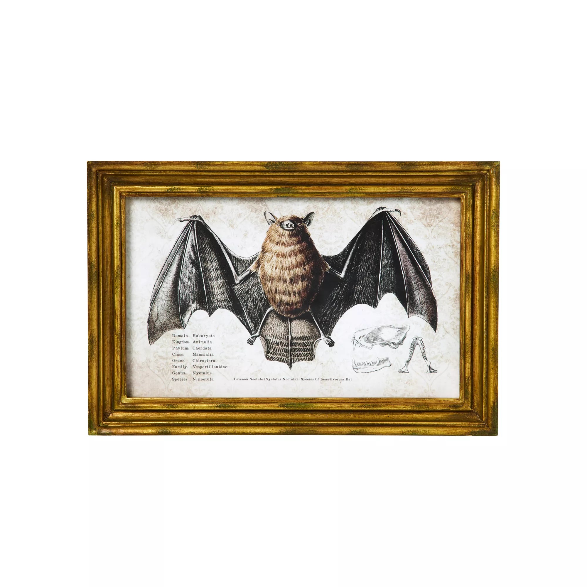 Bat Sign Set - 2 Piece