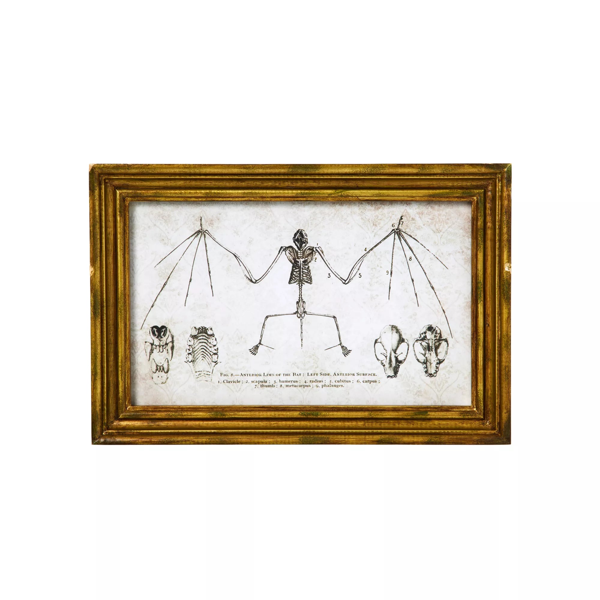 Bat Sign Set - 2 Piece