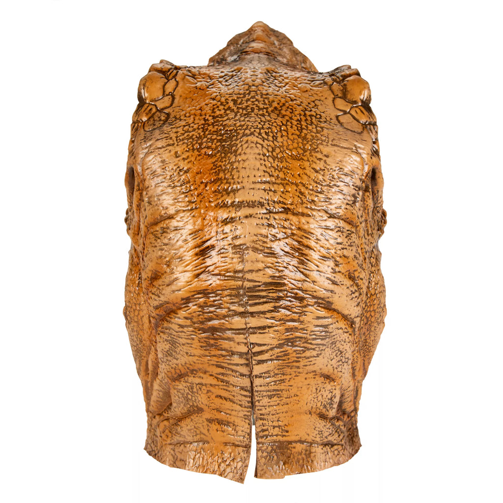 T-Rex Full Mask and Claws Set - Jurassic Park