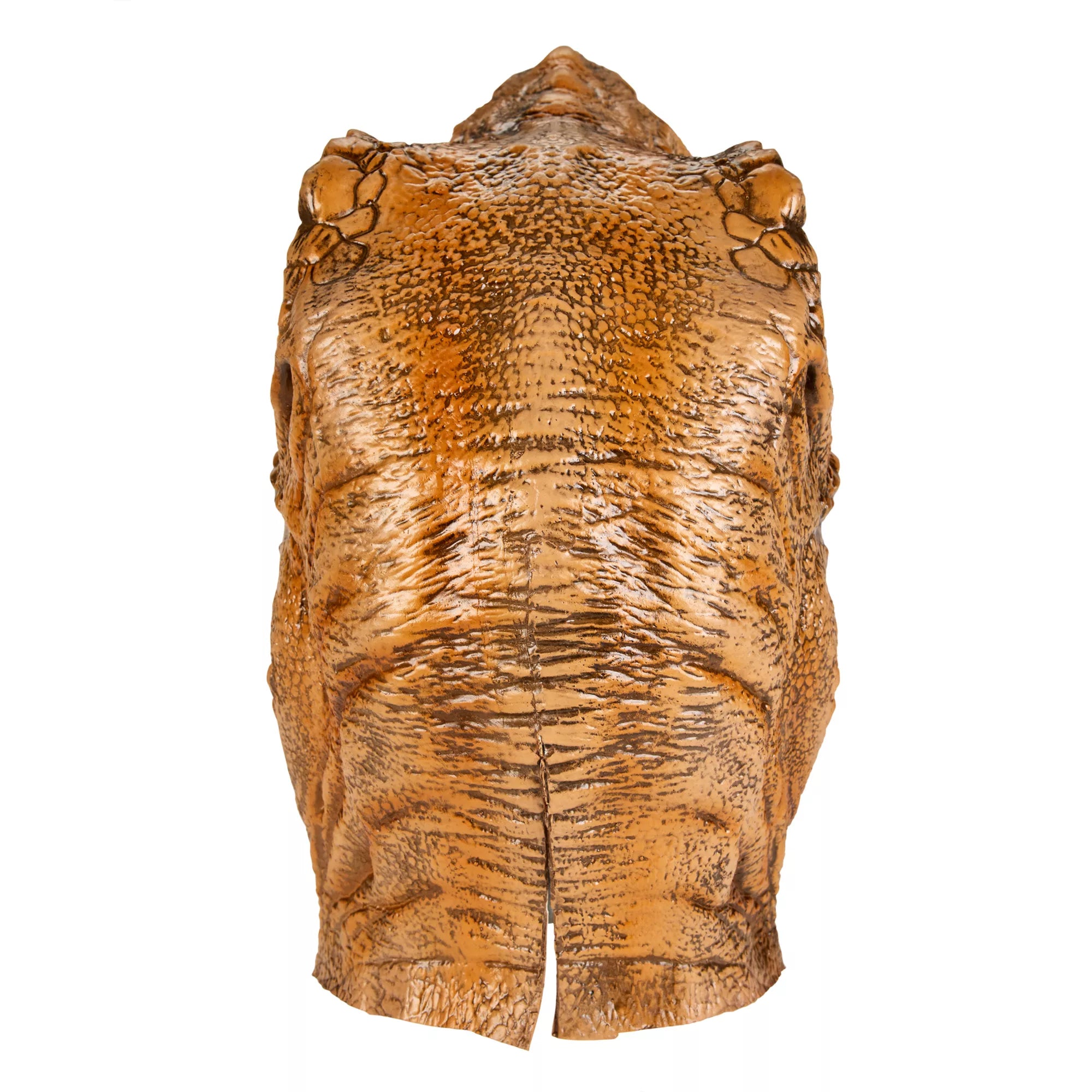 T-Rex Full Mask and Claws Set - Jurassic Park