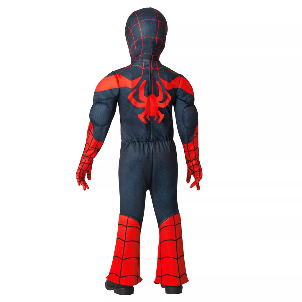 Toddler Spider-Man Spin Muscle Suit Costume -  Spidey and His Amazing Friends