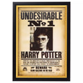 Harry Potter Wanted Mugshot Sign