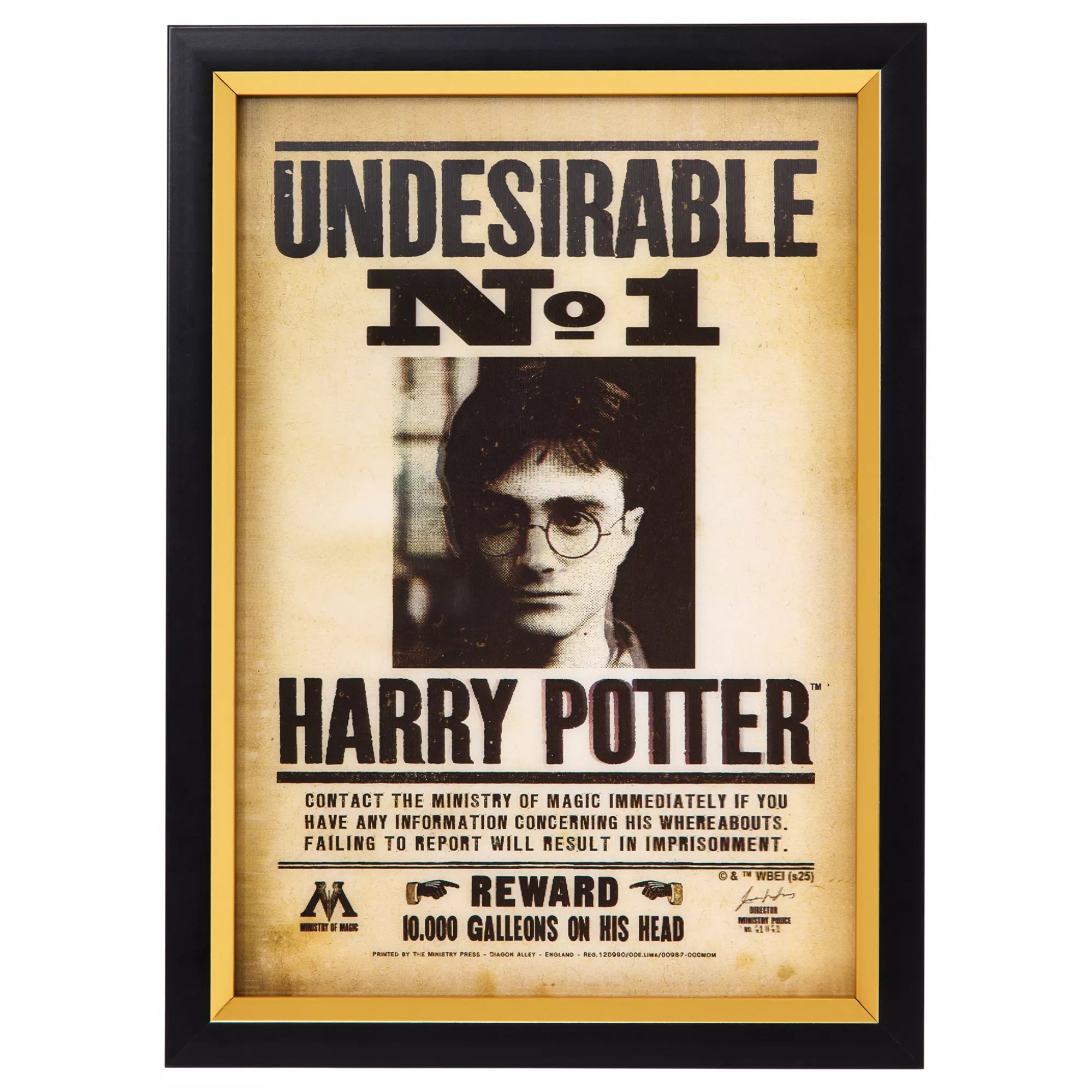Harry Potter Wanted Mugshot Sign