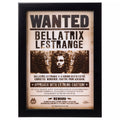 Bellatrix Lestrange Mugshot Sign - Harry Potter