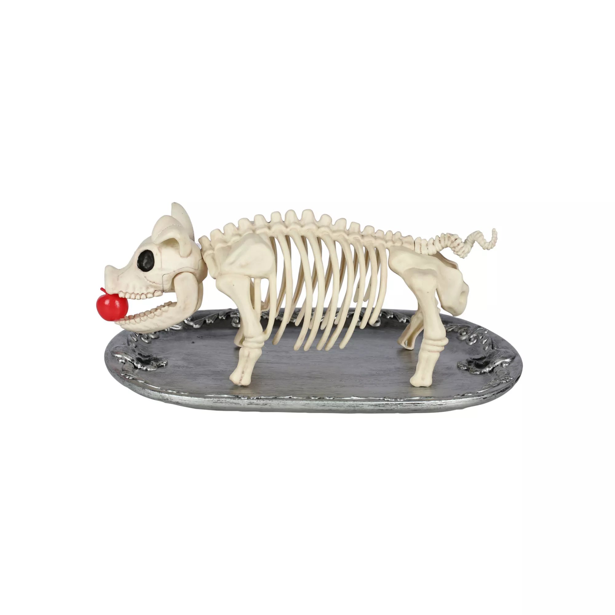 Skeleton Pig on a Platter