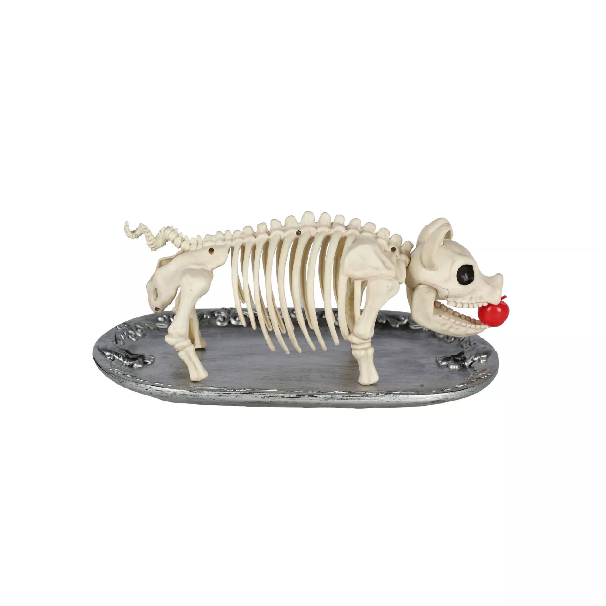 Skeleton Pig on a Platter