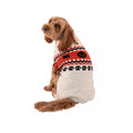 Pumpkin Pet Sweater