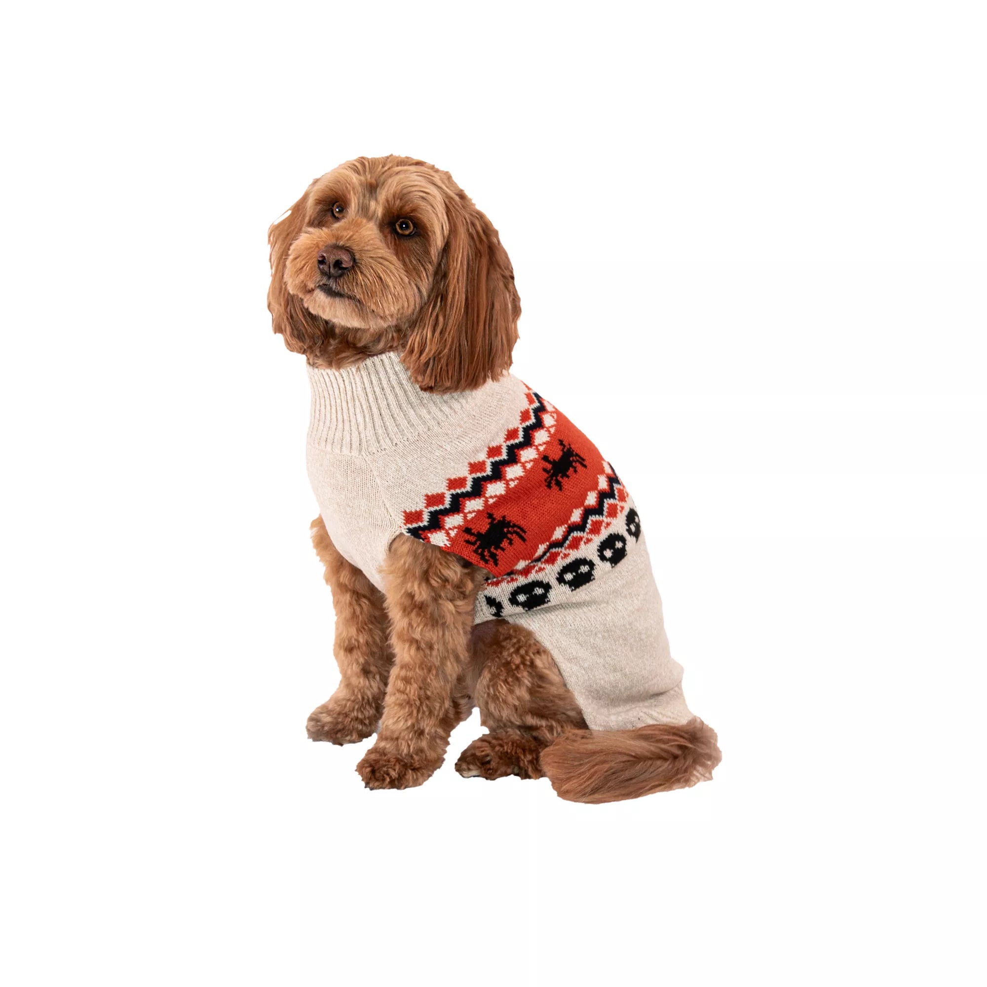 Pumpkin Pet Sweater