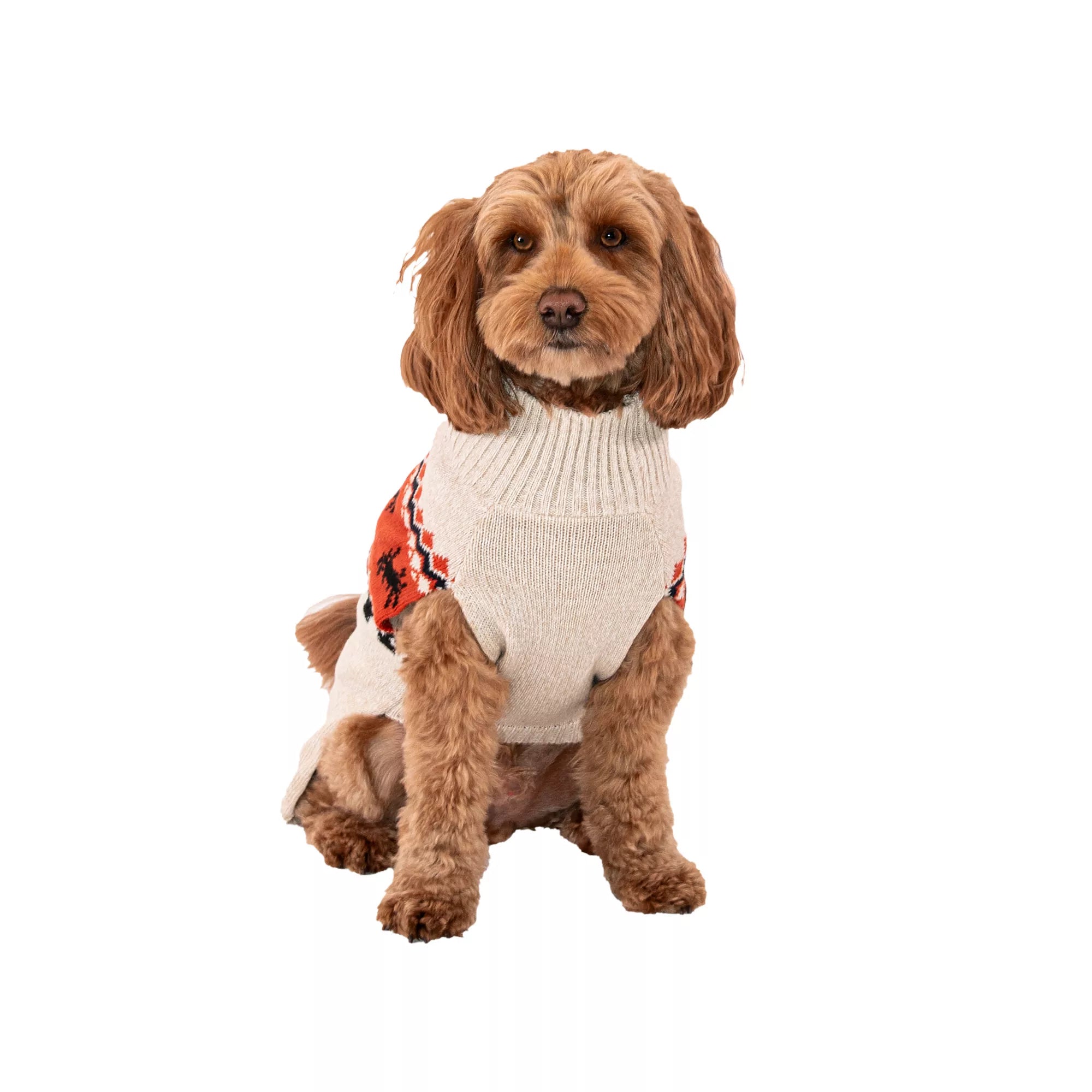 Pumpkin Pet Sweater