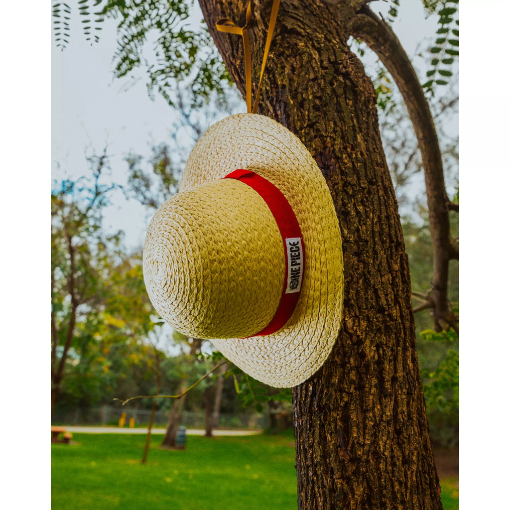 Luffy Cosplay Straw Hat - One Piece