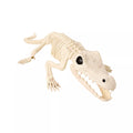 Crocodile Skeleton Static Prop